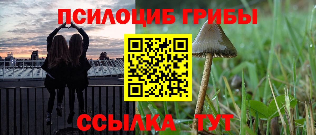 Галлюциногенные грибы прущие грибы Оренбург